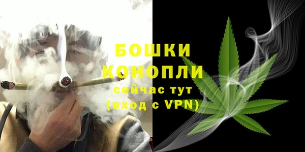 mdpv Богородск